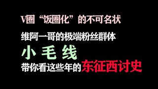 带你看维阿一哥的部分极端粉丝群体【小毛线】这些年的东征西讨史