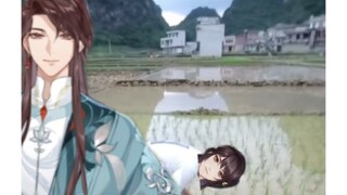 Hua Chen: My little Hua can plant rice seedlings now
