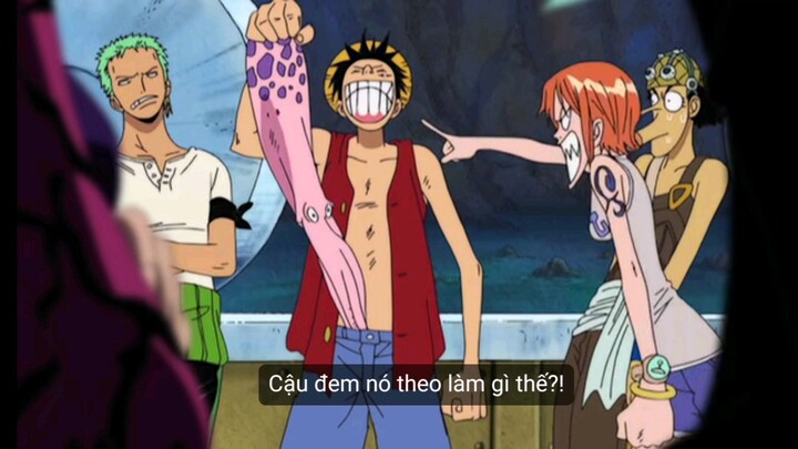 luffy đã làm gì với con bạch tuộc