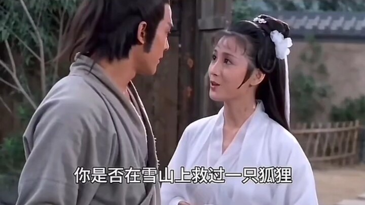 “Cứu cáo trên núi tuyết” – Tình yêu đến thì có ngăn cũng không nổi!