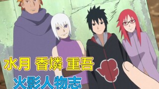 【火影人物志41】驰骋忍界的鹰小队，水月、香燐和重吾