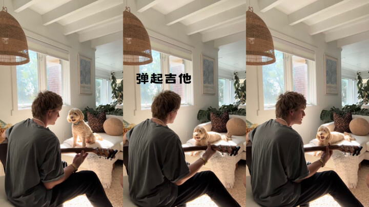 เล่นดนตรีให้น้องหมาฟัง🎵🐶