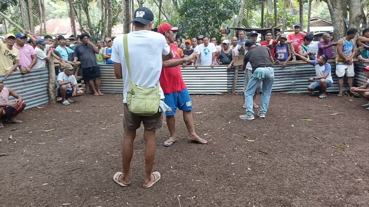 Panalo na Natalo pa.