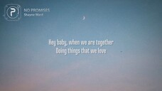 No Promises/By Shayne Ward/MV Lyrics