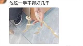 Tôi vừa ăn hết một trăm triệu đó!