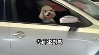 Chó con: Tôi muốn lang thang