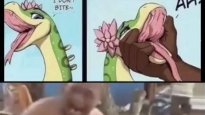 Dick's Vanishing Act