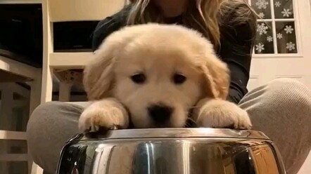 My performance is forced; please understand if it's not good.