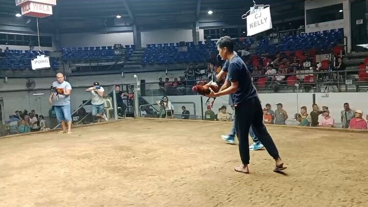 mayahin wins