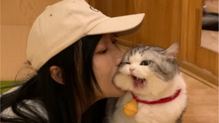 Is this cat-sucking? ? It’s obviously about eating cats!