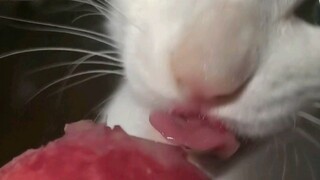 الخوخ المائي لذيذ جدًا