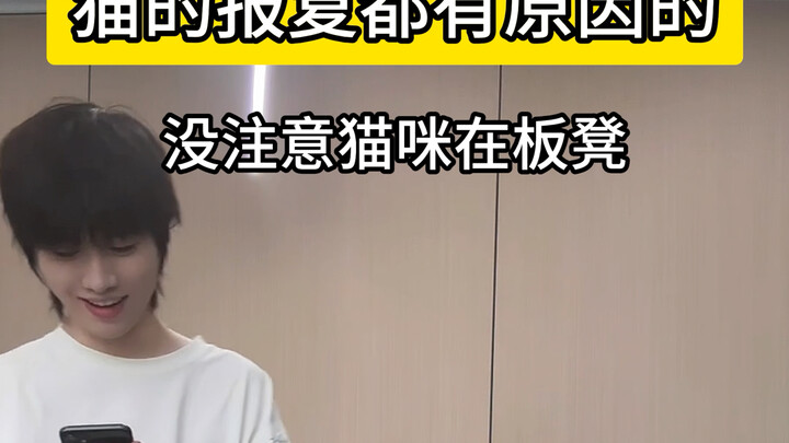 There’s Always a Reason Behind a Cat’s Revenge