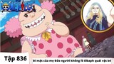 One Piece Tập 836 | Bí mật của mẹ Đảo người khổng lồ Elbaph quái vật bé | Đảo Hải Tặc Tóm Tắt Anime