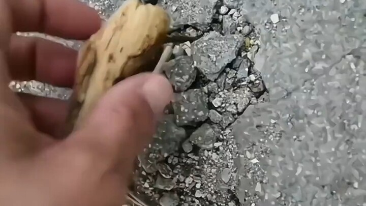 คำเตือนจากทางการ: ถ้าไม่มีเชื้อแบคทีเรียด้านศิลปะจริงๆ ก็แทบจะไม่เจอเลย #สร้างสรรค์ #ศิลปะ..