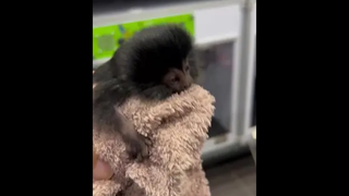 เลิกเป็นเถอะคนเหงา มาเป็นคนดีของเราดีกว่า