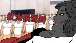 传说中的美狼红太狼登场