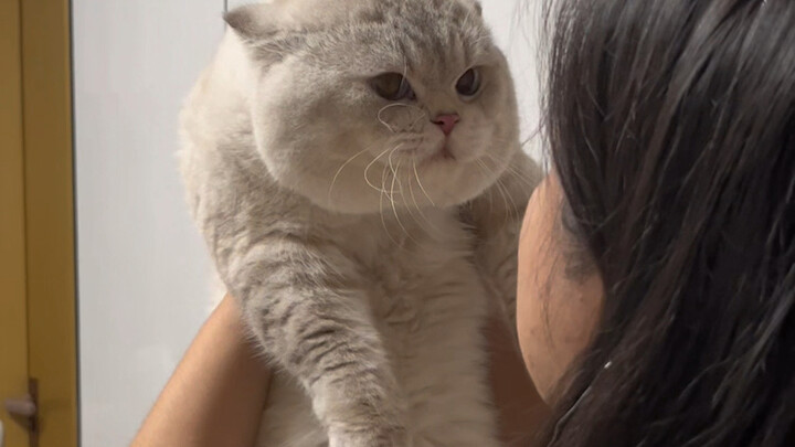 This is what happens when you let your friends come over to pet the cat…