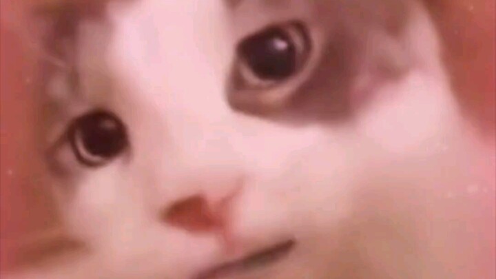 เกือบจะเพิกเฉยต่อคุณ