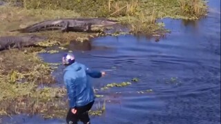 创到沼泽小狗了