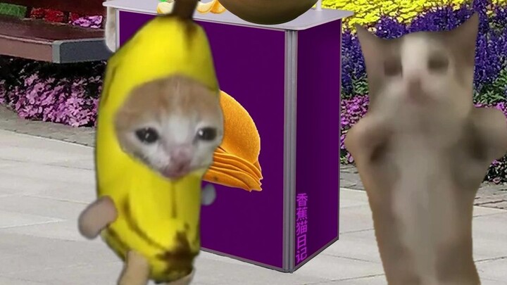 Banana Cat tries the free chips thrown by the doll and ends up crying again