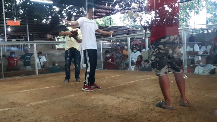 2cocks ulotan 2nd fight hiraw