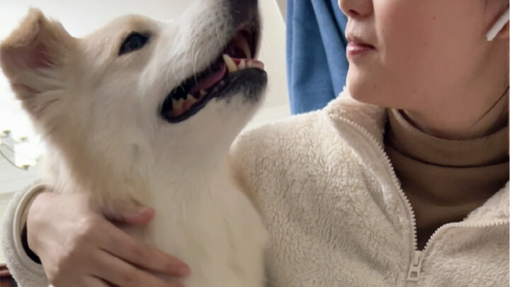 They didn’t let Bella go to greet her just to avoid waking little Angie, who had just fallen asleep,