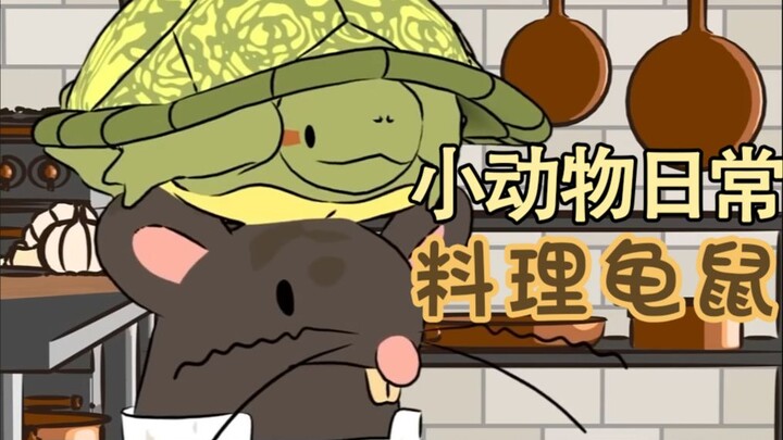 Cooking Turtle and Rat 🐀🐢🍽️ - [Daily Life of Small Animals | Natural Habitat Shorts] Bilingual (Chin