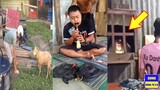 Mga Videong Pag Pinanood Mo Lahat Ng PRUBLEMA Mo Mawawala🤣-Funny Videos And Memes Compilation 2022