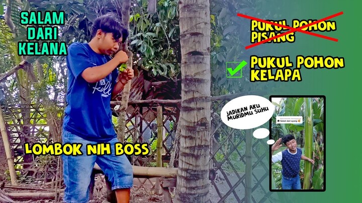 Pokok Viral - KOMEDI LOMBOK