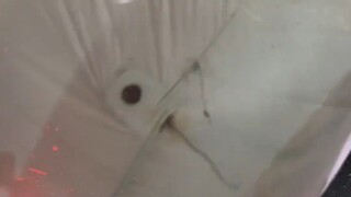 简直不要太好笑