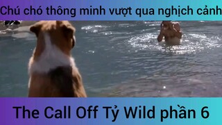 The Call Off Tỷ Wild chú chó thông minh #6