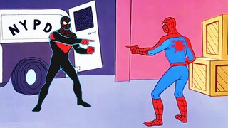 When PETER PARKER Met MILES MORALES