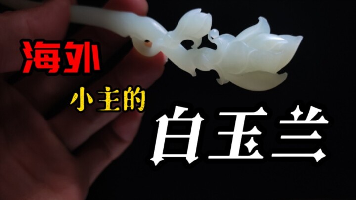 相隔万里的国风之美——白玉兰