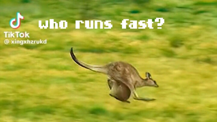 who run fast?