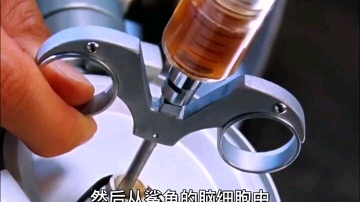 Untuk mendapatkan lebih banyak protein otak hiu, manusia memperbesar ukuran otak hiu, dan akhirnya t