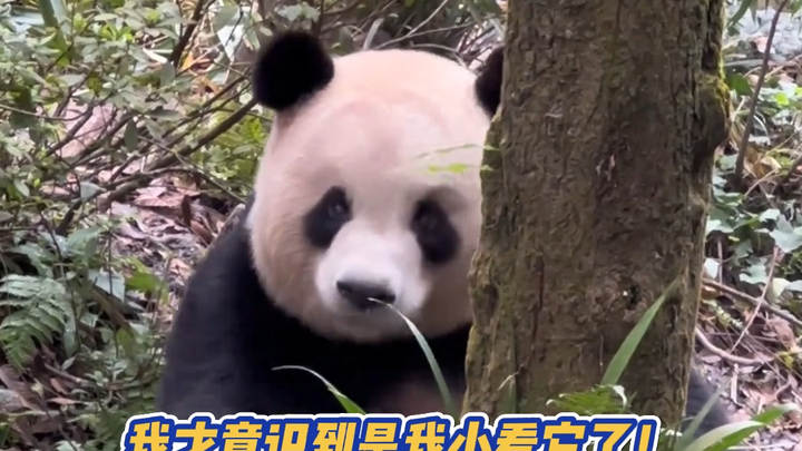 لا بدّ من القول: الوجه الصغير يظهر حقًا رائعًا في الصور!