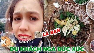 Tik Toker người Nga đến Việt Nam bức xúc khi thấy ăn thịt 🐕 - Top bình luận Face Book.