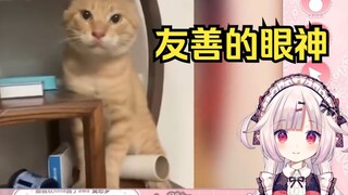 日本萝莉看《我被困在了哈基乡》好多认识的猫