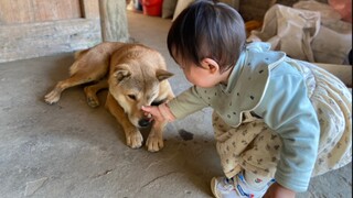 猫咪和狗狗对人类幼崽的态度还真是截然不同啊