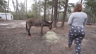 camping vlog 1