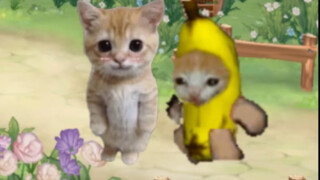 娃娃丢丢校园卡迎来爱情，香蕉猫有样学样出现意外