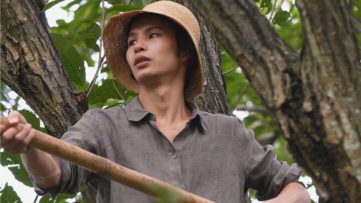 Harga chestnut tahun ini jauh lebih tinggi dibanding tahun-tahun sebelumnya