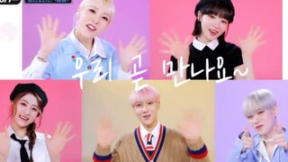 Video cover "Bài hát 'Spring Day' của BTS" do dàn sao KPOP thể hiện đã được công bố!