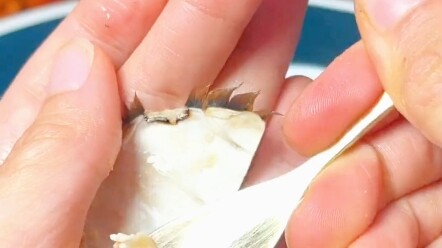 Begini Cara Makan Kepiting Besar Biar Gak Sia-Sia