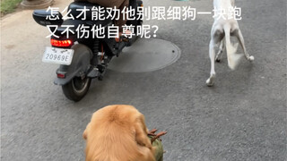 你俩选的专业又不一样