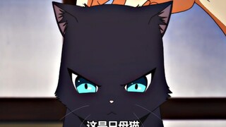 Why doesn't my cat change?