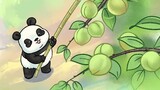 I finally believe that pandas are solitary animals!!