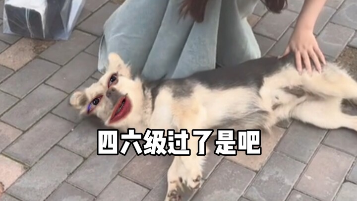 Doggy: Who cares if they're juniors or seniors?