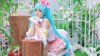 [Braised] Video cosplay Hatsune Miku