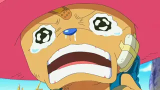 [Chopper] Luffy, for you, even if I become a real monster, I will do anything!